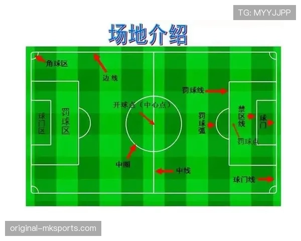 提问科普型：人工草场对足球比赛规则有哪些特别要求？